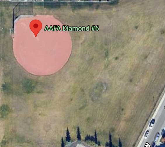 AAFA Diamond 6