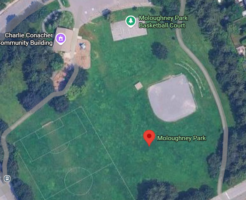 Moloughney Park