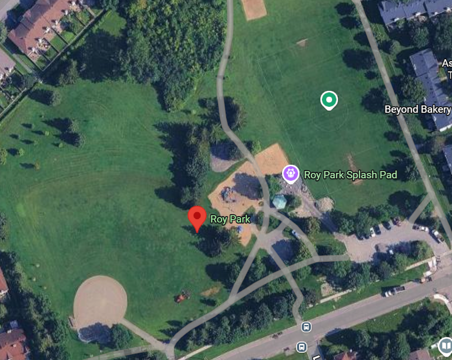 Roy Park