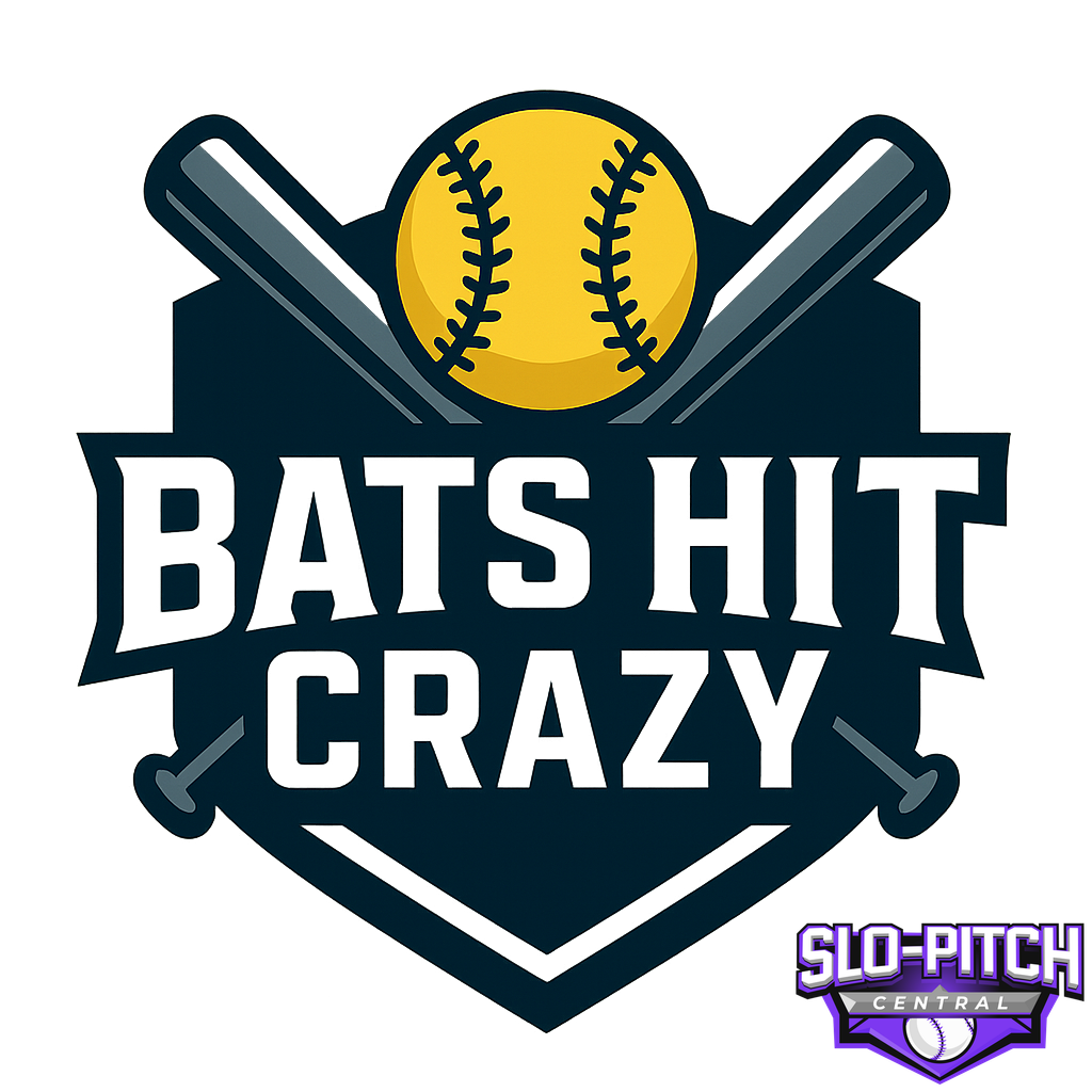 Bats Hit Crazy logo idea 1