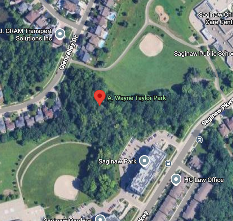 A. Wayne Taylor Park
