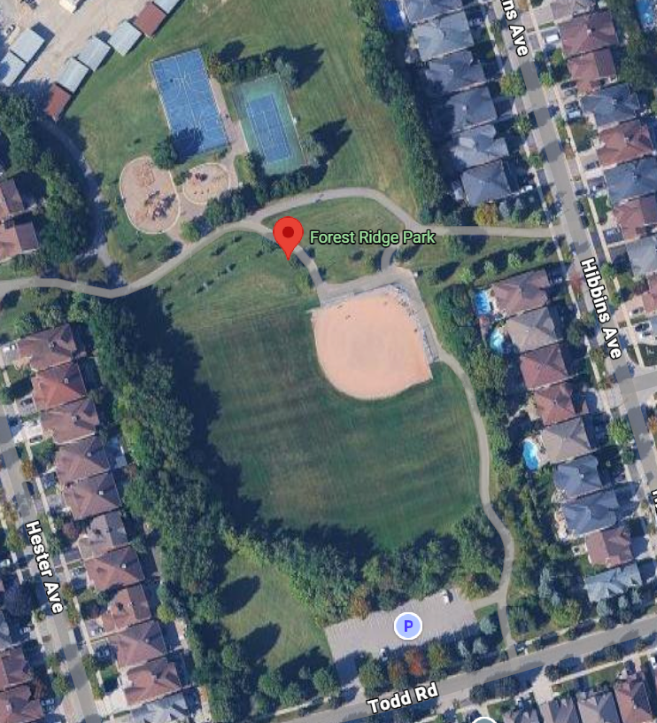 Forest Ridge Park