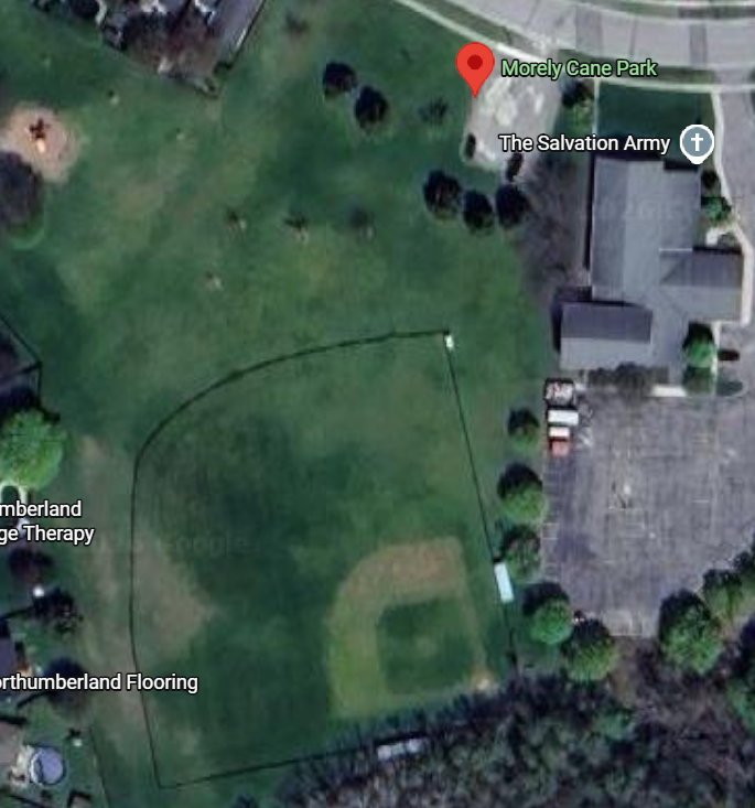 Morely Cane Park