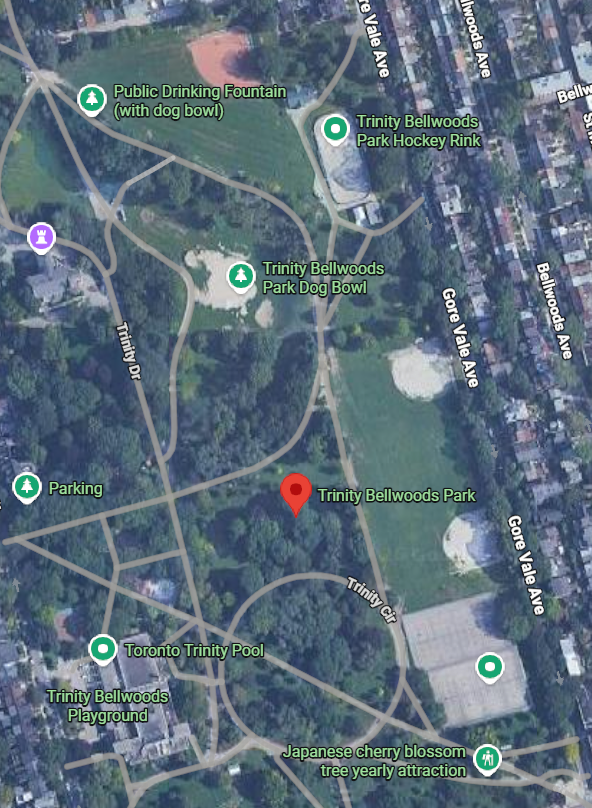 Trinity Bellwoods Park
